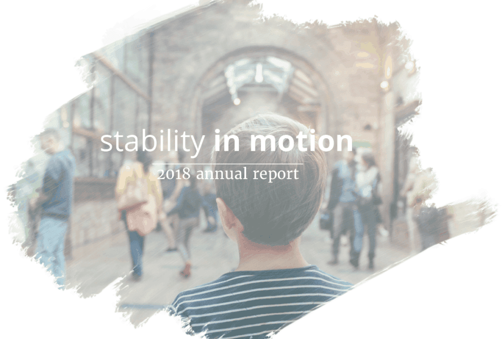 Stability In Motion: 2018 Report Highlights